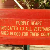 Camp Hamilton #048 Purple Heart Tree