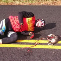 Dieter and the Terrible, Horrible, No Good, Very Bad (race) Day.