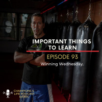 Episode 93 Important things to learn