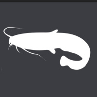 Fishin For Catfish With Catfish Killer