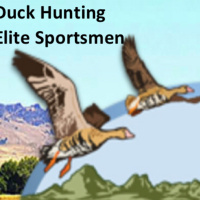 2019 Northern California Duck Hunting Season