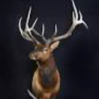 Cliff Carney - An Outdoor Entrepreneur - Talks about his Businesses 