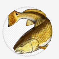 Fishing For Red Fish And Speckled Trout In Lake Sabine Texas