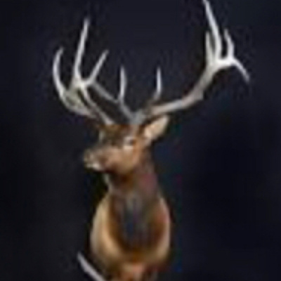 Fishonted - Ted Johnson