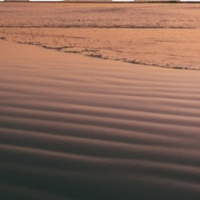 Why Companies Should Make Their Employees Take PTO