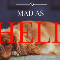 How to Handle an Angry Boss