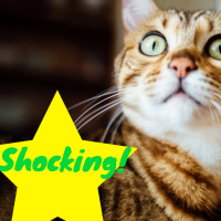 Shocking! Companies Going All in on Remote Work