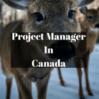 Vendor Project Manager In Canada - Breaking into industry