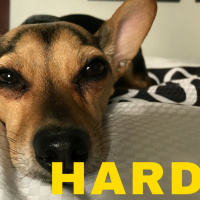 Why Is It So Hard To Be A Clinical Research Associate?