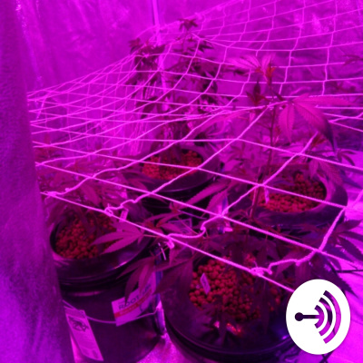 G.v.functionproductions Presents Wake And Bake Talk Show