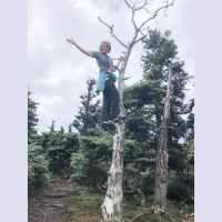 #51 ~ A Charging Moose Opens the Doorway to Surrender