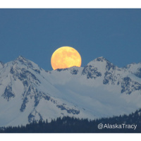 #6 Revealed By Lands End Resort Episode 