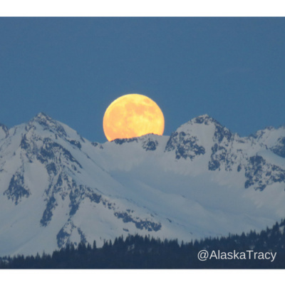 Alaska Tracy Podcast