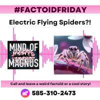 Factoid Friday - Listeners Fact about Flying Electric Spiders!