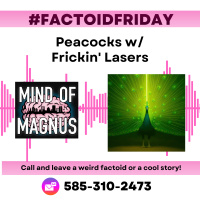 FactoidFriday: Peacocks with Frickin Lasers!