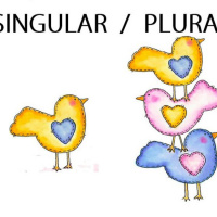 Singular and Plural examples