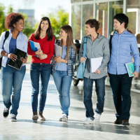 Learn the Nouns in Spanish !