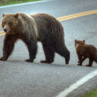 Con Cuidado - Spanish Lesson for saying be careful or watch out