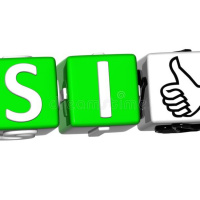 Sí vs Si - Spanish Lesson