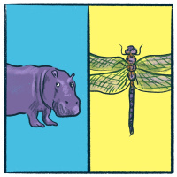 Hippopotamus vs. Dragonfly: a sizeable debate