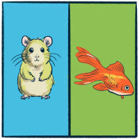 Hamsters vs. Goldfish: an adorable debate