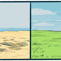 Sand vs. Grass: an earthy debate