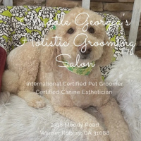 #150 - For the Love of Dogs: Amanda Sabet