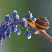 Let Go of Anger and Resentments 