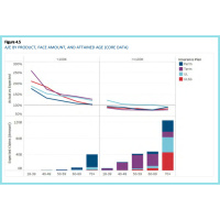2019 Individual Life Insurance Mortality Experience Report