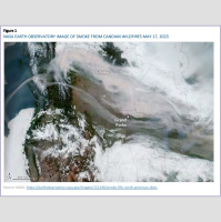 Expert Panel on the Impact of Wildfires on U.S. Health and Life Insurers