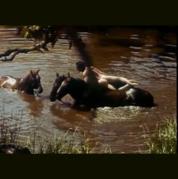 TDF EP 38 – Bob Calhoun and Rosie Picado