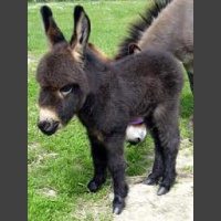 TDF EP 34 – Mary Mack and Scott Krinsky 