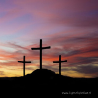 Droga krzyżowa w czterech Ewangeliach