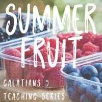 Cultivate Patience | Summer Fruits pt.1