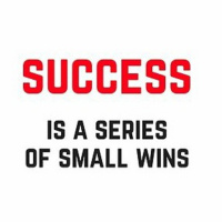 Celebrate the Small Wins