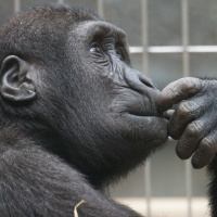 Changing Your World One Thought At A Time