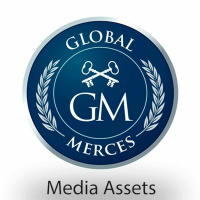 Media as an Asset Class