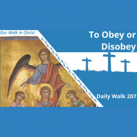To Obey or Disobey | Daily Walk 207