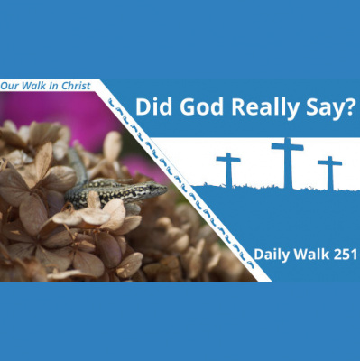 Our Walk In Christ Podcast