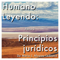 Humano Leyendo: Principios Jurídicos. De Mario I. Álvarez Ledesma | Parte 2