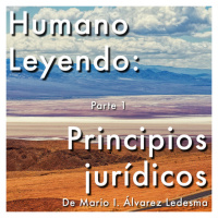 Humano Leyendo: Principios Jurídicos. De Mario I. Álvarez Ledesma | Parte 1