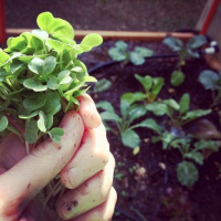 Dec. 8, 2018 Notes On Refuge