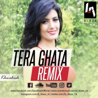 Tera Ghata Remix