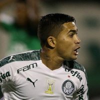Dudu é praticamente insubstituível no Palmeiras