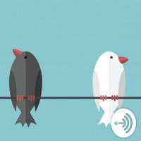 The first and only episode