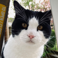 You Are My Sunshine (Rendition)