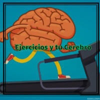4 BENEFICIOS A NIVEL NEURONAL POR EL EJERCICIO