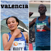 Maraton de Valencia _ Melao Melao _ 5k del Rio _ 8K Luis Humberto