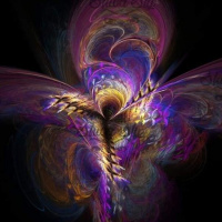 What might surprise you