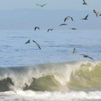 Psalm 36 - With You is the Fountain of Life